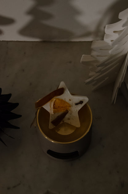 Décorations de Noël Parfumées