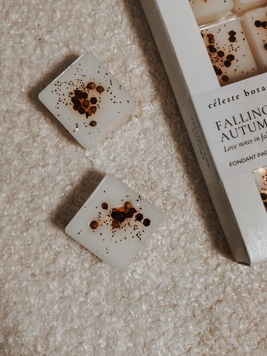 Fondant Parfumé Falling for Autumn